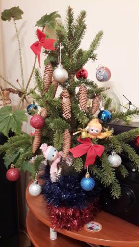 20141227_183115.jpg