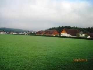 IMG_2367.JPG