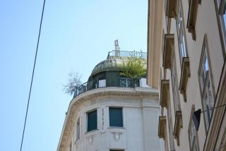 DSC_0085.JPG