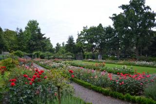 DSC_0711.JPG