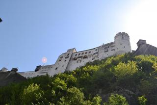 DSC_0395.JPG