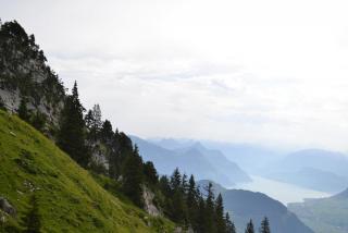 DSC_0079.JPG