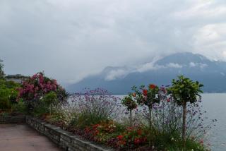 DSC_1009.JPG