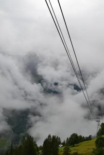 DSC_0242.JPG