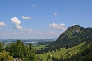 DSC_0503.JPG