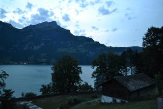 DSC_0949.JPG