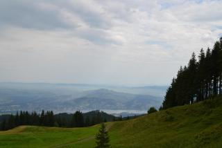 DSC_0325.JPG