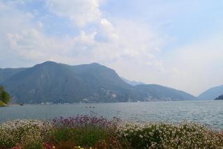 DSC_0896.JPG