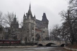 DSC_0703.JPG