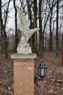 DSC_0607.JPG