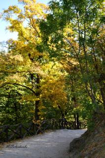 DSC_0393копирование.jpg-p.jpg
