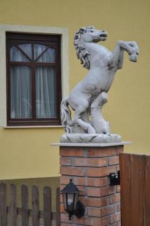 DSC_0600.JPG