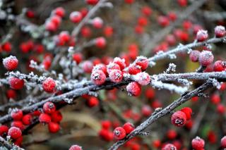DSC_0313копия.jpg