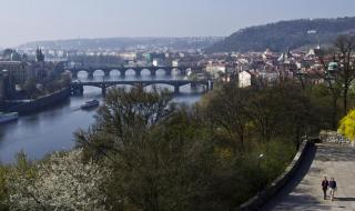 IMGP0663-2.jpg