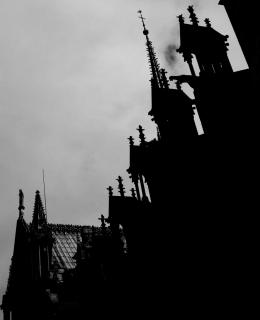 IMGP1054.jpg