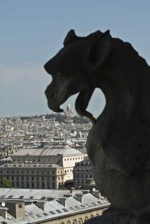 IMG_0090.jpg