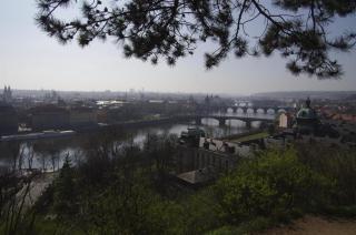 IMGP0730.jpg