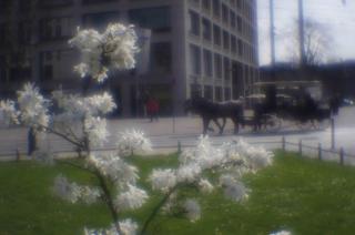 IMGP0573-2.jpg