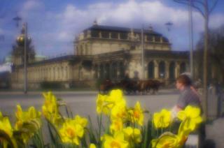 IMGP0576-2-2.jpg