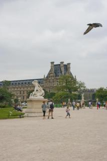 IMGP1929.jpg