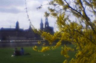 IMGP0502-2-2.jpg