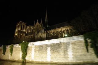 _IGP8800.jpg