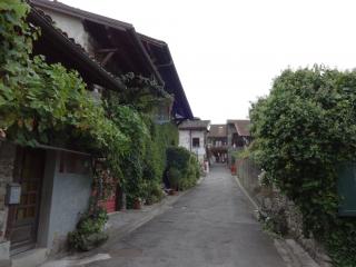 DSC04822.JPG
