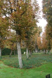 DSC08263.JPG