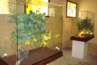 DSC00096.JPG