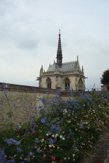 DSC08318.JPG