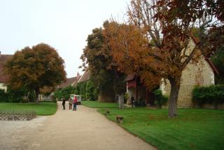 DSC08264.JPG