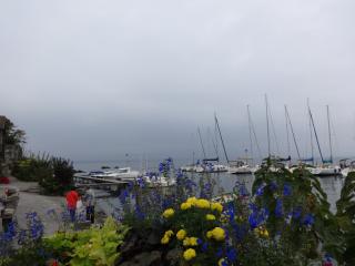DSC04810.JPG