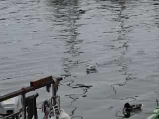 DSC04918.JPG
