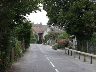 DSC04784.JPG