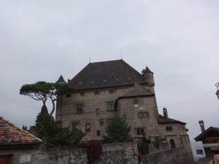 DSC04826.JPG