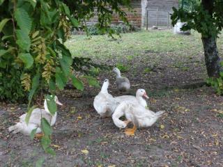 DSC04777.JPG