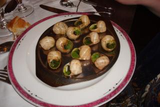 DSC09375.JPG