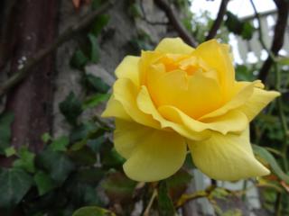 DSC04815.JPG