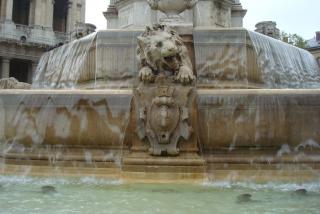 DSC09710.JPG