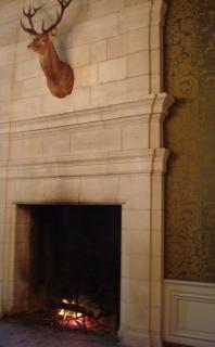 DSC08473.JPG