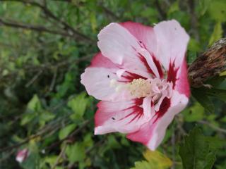 DSC04927.JPG
