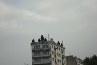 DSC00058.JPG
