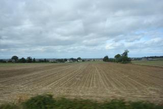 DSC08000.JPG