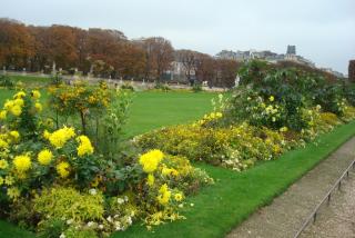 DSC09742.JPG