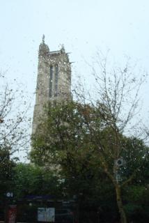 DSC08972.JPG