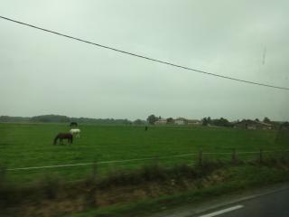 DSC04758.JPG