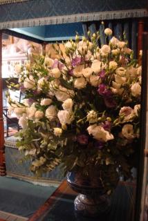 DSC08215.JPG