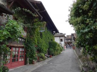 DSC04855.JPG