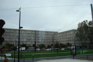 DSC07769.JPG