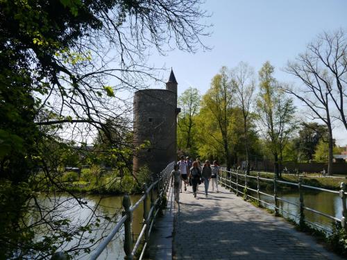 P1100389_пороховая башня.JPG